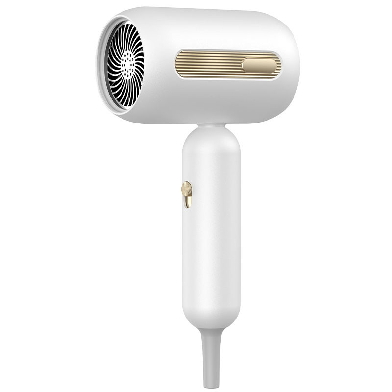 Asciugatrice di capelli professionale 1900W Ion negativo Asciugatrice di capelli ad alta velocità Asciugatrice di salone professionale
