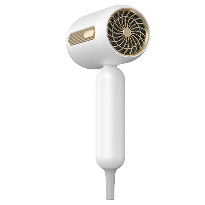 Asciugatrice di capelli professionale 1900W Ion negativo Asciugatrice di capelli ad alta velocità Asciugatrice di salone professionale