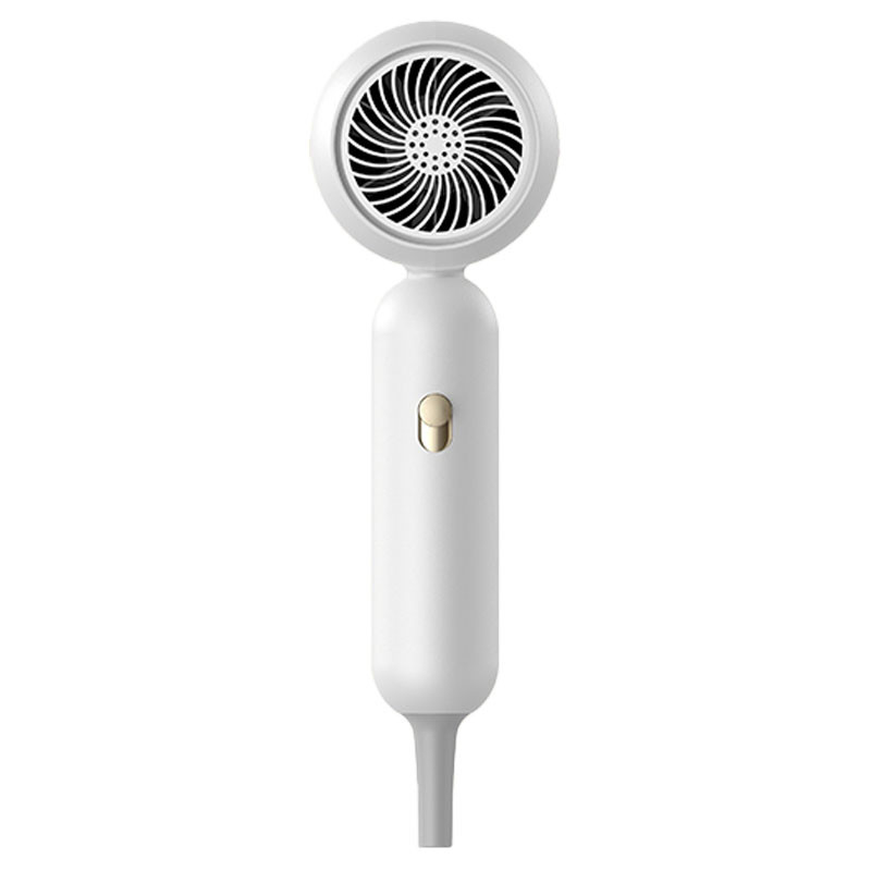 Asciugatrice di capelli professionale 1900W Ion negativo Asciugatrice di capelli ad alta velocità Asciugatrice di salone professionale