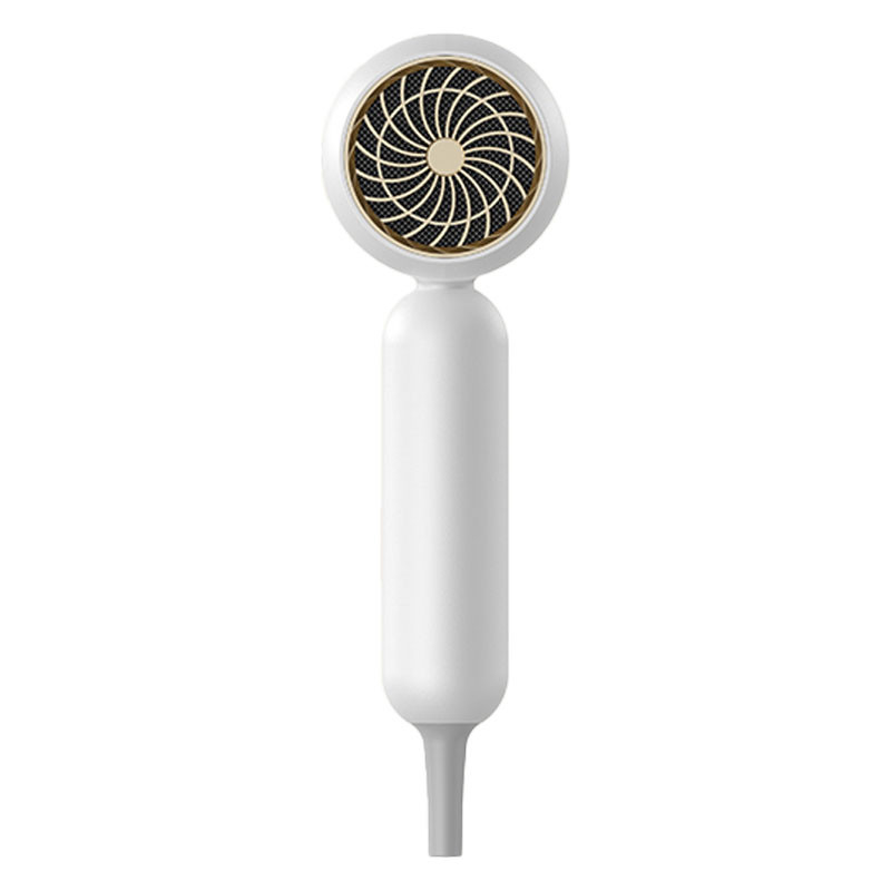 Asciugatrice di capelli professionale 1900W Ion negativo Asciugatrice di capelli ad alta velocità Asciugatrice di salone professionale