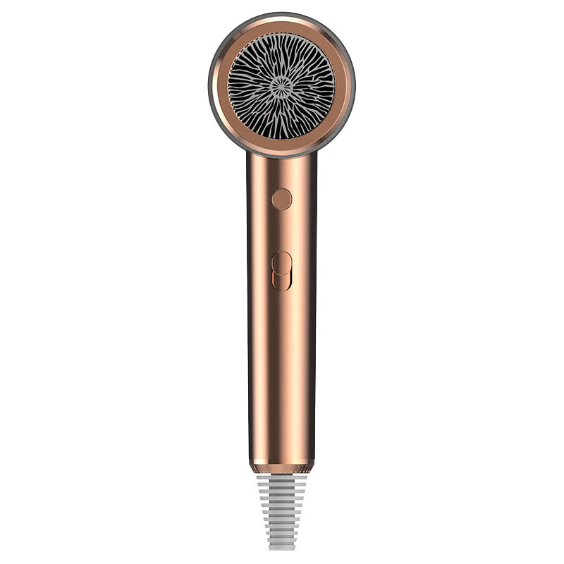 Asciugatrice di capelli professionista rosa con spina UE/US/ALCI/AU/UK/JP