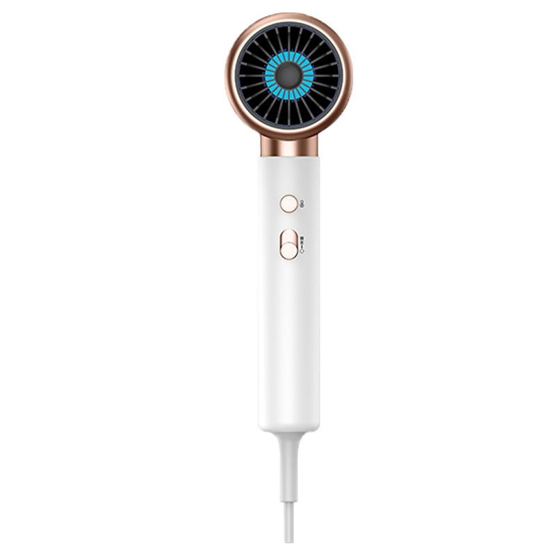 Asciugatrice di capelli professionale Potente riscaldamento rapido regolazione calda e fredda Asciugatrice a vento ionica con raccolta d'aria