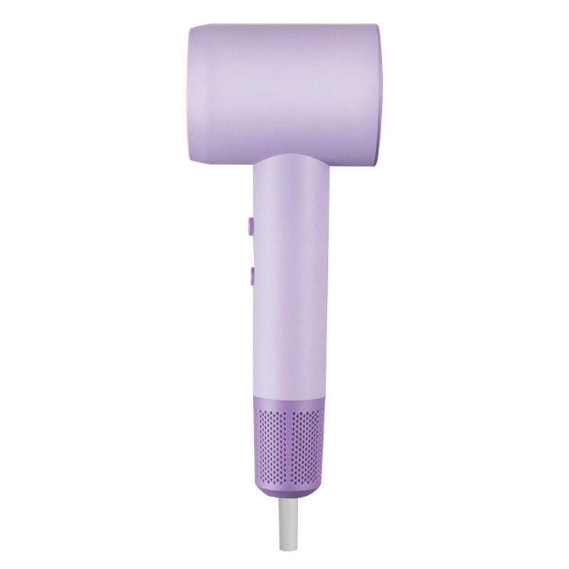 Asciugatrici di capelli potenti Asciugatrici a vento a motore a corrente continua Salone professionale 2000W