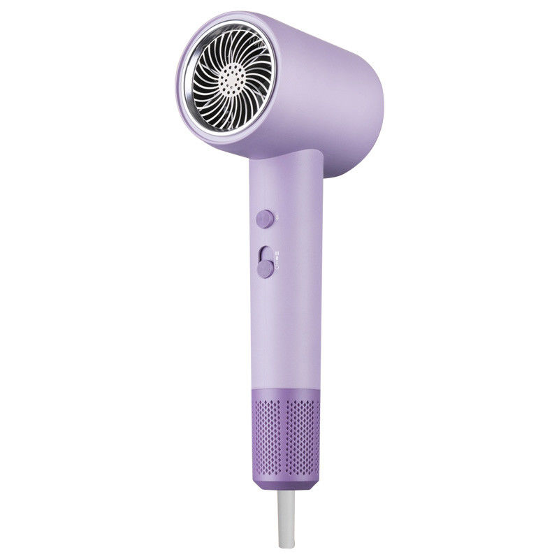 Asciugatrici di capelli potenti Asciugatrici a vento a motore a corrente continua Salone professionale 2000W