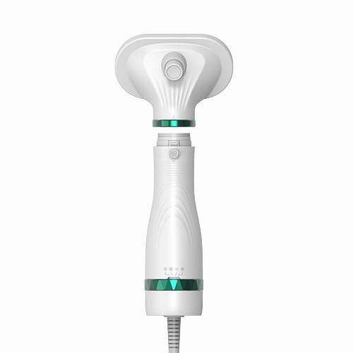 300W Mini asciugacapelli per animali domestici basso rumore gatti cani curarsi soffiatore per animali domestici soffiatore per acqua