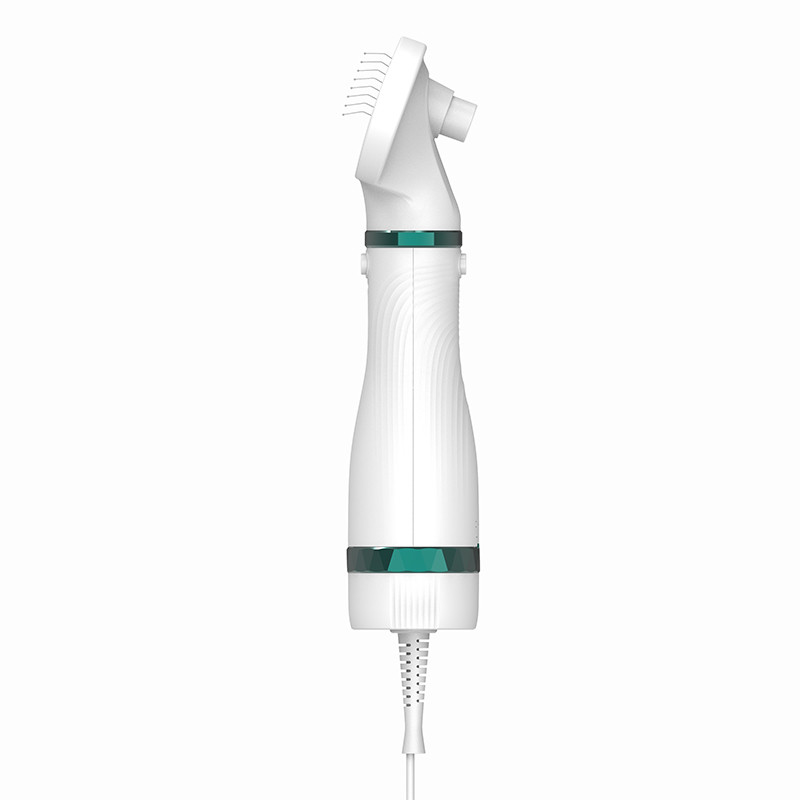300W Multi Funzione 3 in 1 Pet Grooming Blower Low Noise Constant Wind Cat Dog Pet Hair Dryer