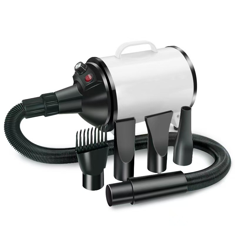 Asciugatrice di capelli per animali da compagnia 4 in 1 asciugatrice silenziosa per cani gatti leggera portatile