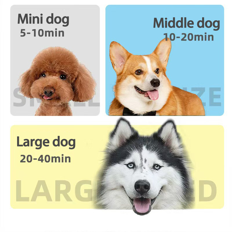 Asciugatrice di capelli per animali da compagnia 4 in 1 asciugatrice silenziosa per cani gatti leggera portatile