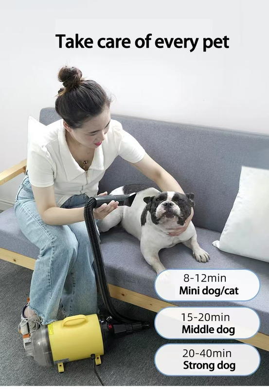 Asciugatrice di capelli per animali da compagnia 4 in 1 asciugatrice silenziosa per cani gatti leggera portatile